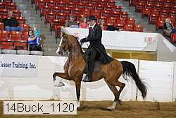 14buck_1120 proof