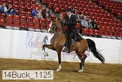 14buck_1125 proof