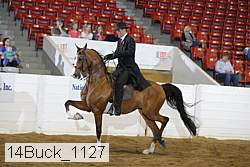 14buck_1127 proof