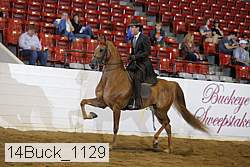 14buck_1129 proof