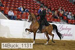 14buck_1131 proof
