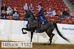 14buck_1132 proof