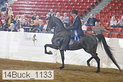 14buck_1133 proof