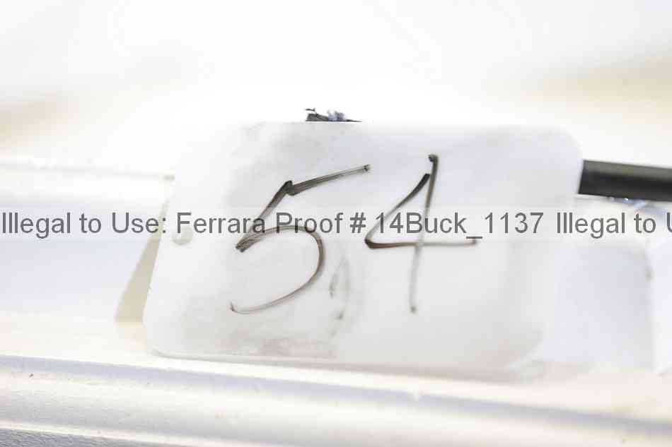 Proof 14buck_1137