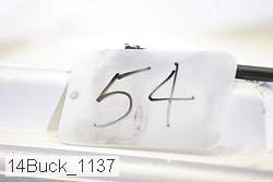 14buck_1137 proof