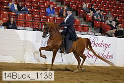 14buck_1138 proof