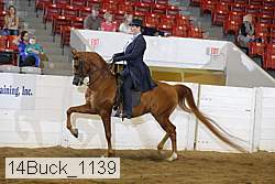 14buck_1139 proof