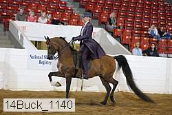 14buck_1140 proof