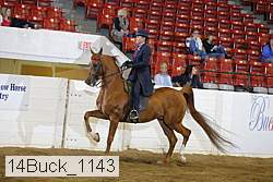 14buck_1143 proof