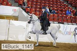 14buck_1145 proof
