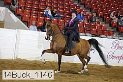 14buck_1146 proof