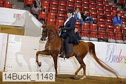 14buck_1148 proof