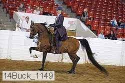14buck_1149 proof