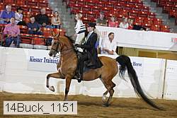 14buck_1151 proof