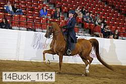 14buck_1154 proof