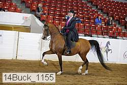 14buck_1155 proof