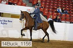 14buck_1156 proof