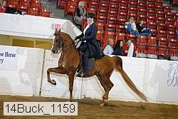 14buck_1159 proof