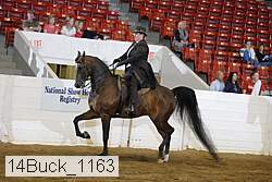 14buck_1163 proof