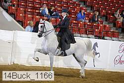 14buck_1166 proof