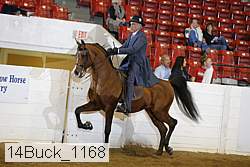 14buck_1168 proof