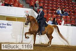 14buck_1169 proof