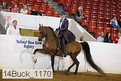 14buck_1170 proof