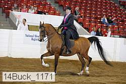 14buck_1171 proof