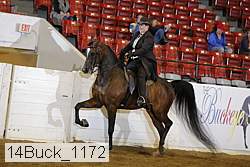 14buck_1172 proof