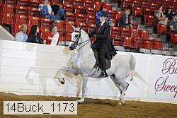 14buck_1173 proof