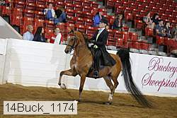 14buck_1174 proof