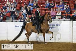 14buck_1175 proof