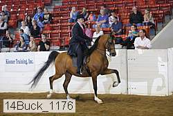 14buck_1176 proof
