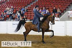 14buck_1177 proof