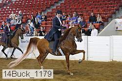 14buck_1179 proof