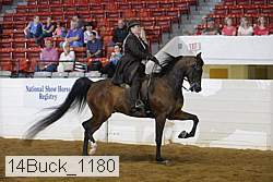 14buck_1180 proof