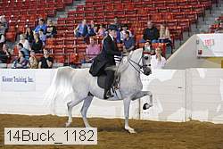14buck_1182 proof