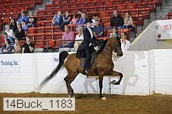 14buck_1183 proof