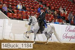 14buck_1184 proof