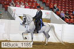 14buck_1185 proof