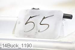 14buck_1190 proof