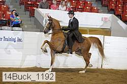 14buck_1192 proof