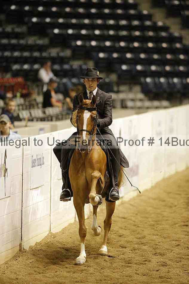 Proof 14buck_1193