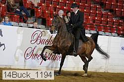 14buck_1194 proof