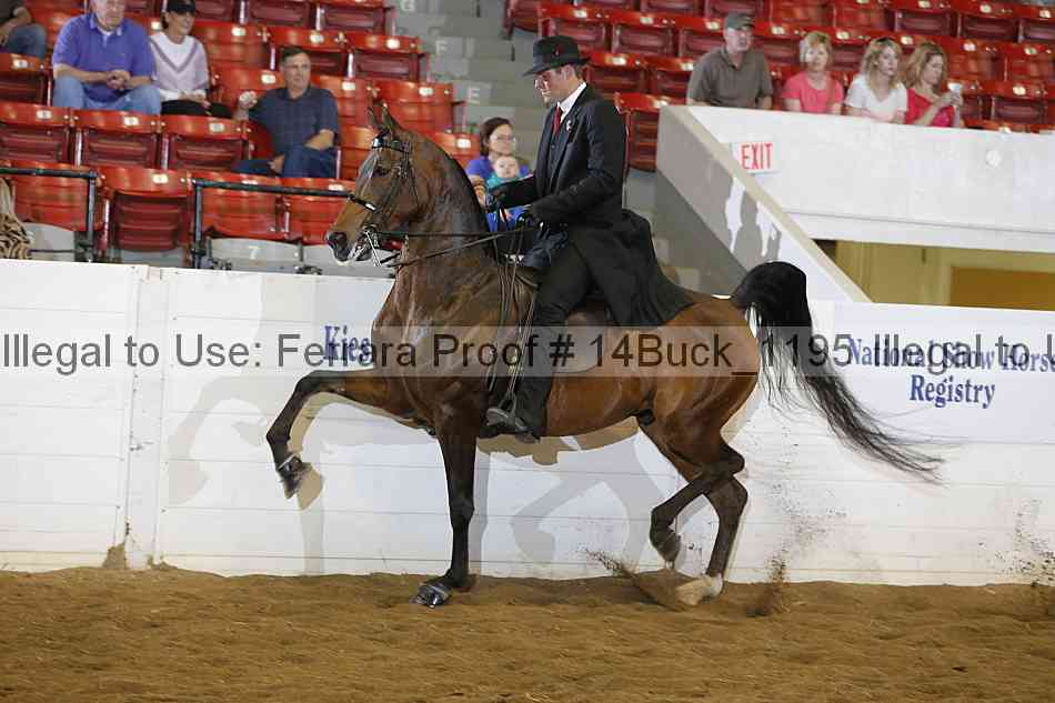 Proof 14buck_1195