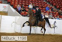 14buck_1198 proof