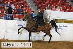14buck_1199 proof