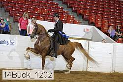 14buck_1202 proof