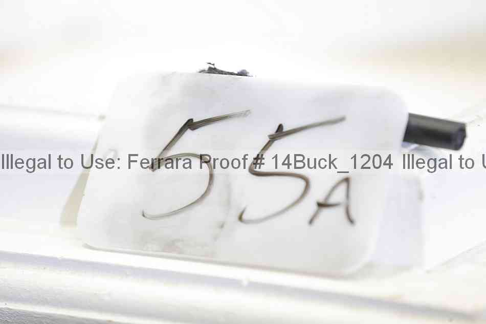 Proof 14buck_1204