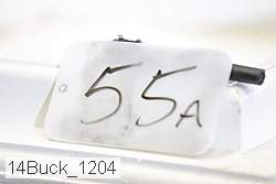 14buck_1204 proof